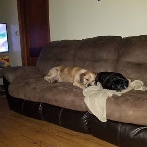 Meet your Posher, Denise